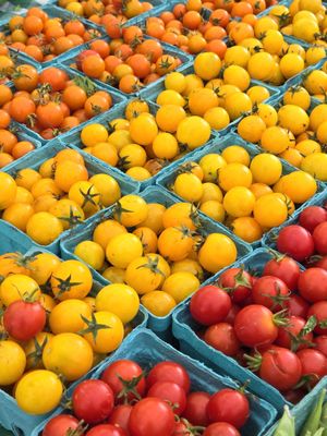 Sellwood Moreland Farmers Market by null