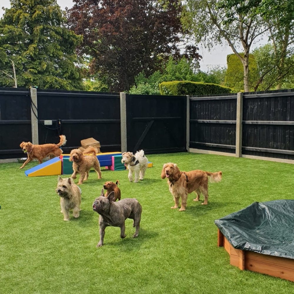 Garden Groomers Deeping Fasci Garden