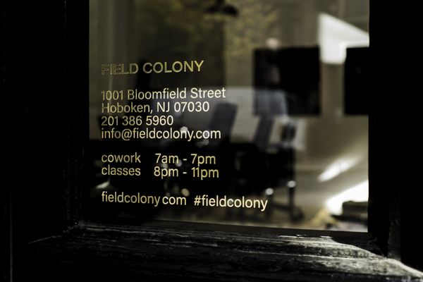 Field Colony by null