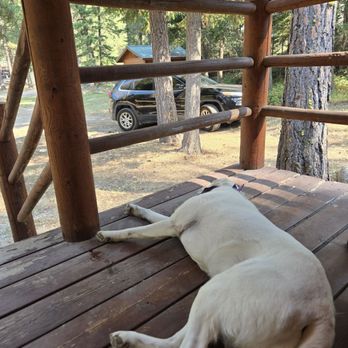 Lost Horse Lodge - Saana knows a good porch when she sees one. - Hotels Near Me - Hamilton, Montana Lost Horse Lodge - Saana knows a good porch when she sees one. - Hotels Near Me - Hamilton, Montana