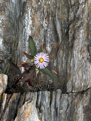 Two Lights State Park by null