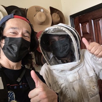Busy Bee Removal - Pest Control Near Me - Burbank, California Busy Bee Removal - Pest Control Near Me - Burbank, California