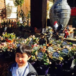 Beasley's Nursery & Tea House