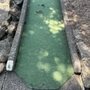 Photo of Parkland Putters