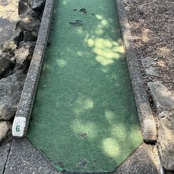 Parkland Putters - Example of turf condition on some holes.