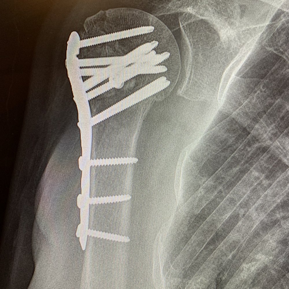 World Journal of, image size:1000x1000