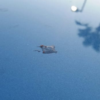 Avis - A drop of what seems to be glue on the car..... Avis shouldn't deliver the car like this - Car Rental Near Me - Los Angeles, California