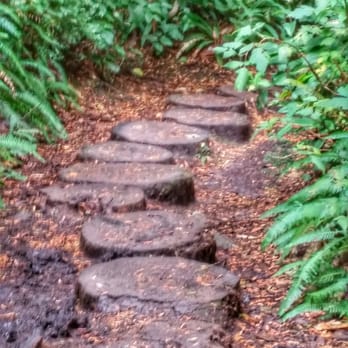 Cape Flattery - Trail - Hiking Near Me - Neah Bay, Washington Cape Flattery - Trail - Hiking Near Me - Neah Bay, Washington