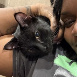 Dyer Animal Clinic - My new baby, Phantom