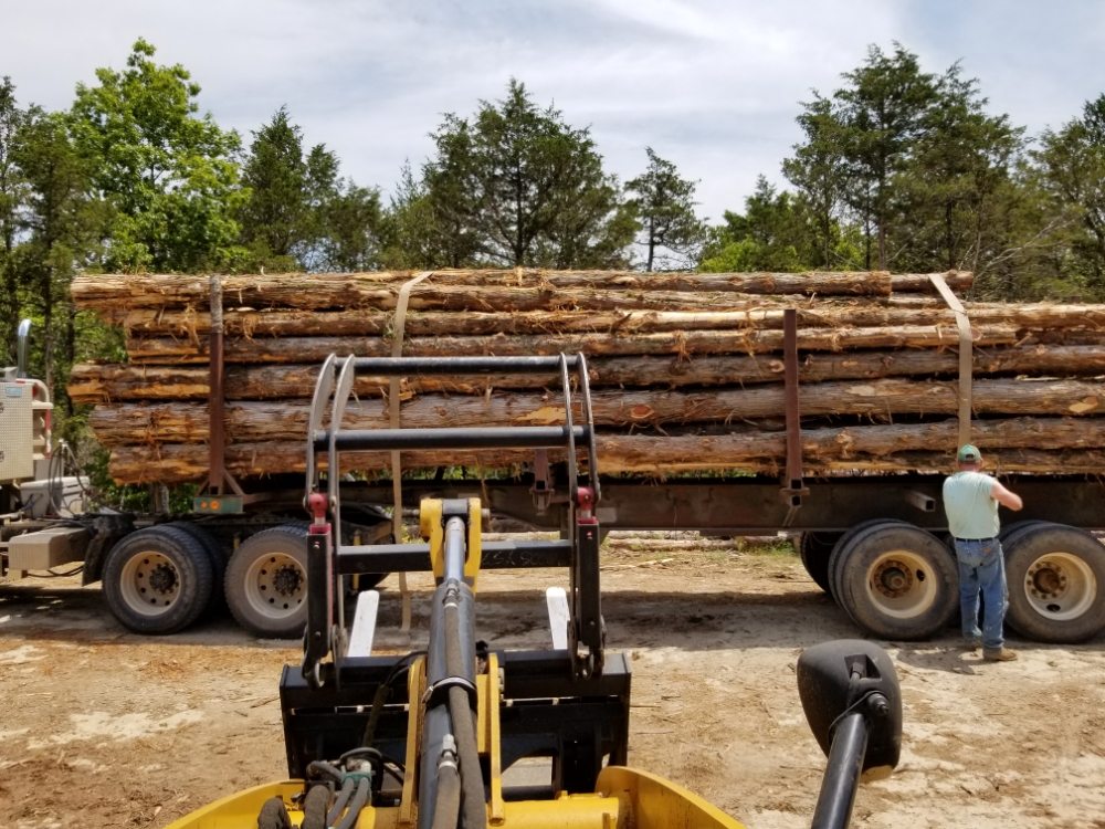 BRUCE CREEK SAWMILL Updated September 2024 Request a Quote 1217