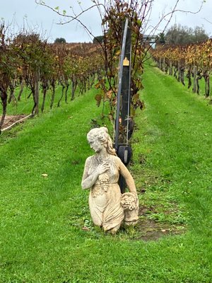 Wild Estate - The Untamed Winery by null