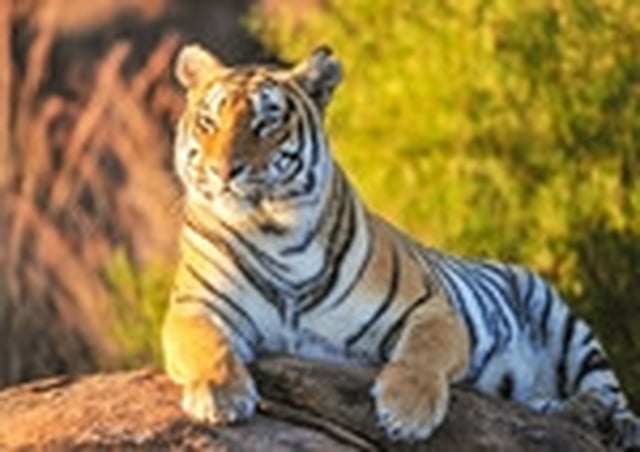 Spirit Journeys Worldwide