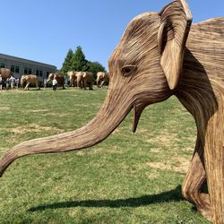 Salve Regina University - Elephant exhibit.