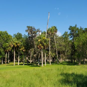 Crystal River State Archaeological Site - Landmarks & Historical Buildings Near Me - Crystal River, Florida