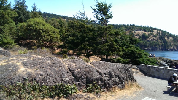Lime Kiln Point State Park by null