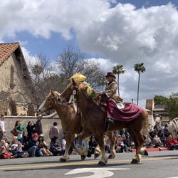 Swallow's Day Parade
