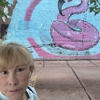 Downtown Flagstaff - Flamingo! - Local Flavor Near Me - Flagstaff, Arizona Downtown Flagstaff - Flamingo! - Local Flavor Near Me - Flagstaff, Arizona
