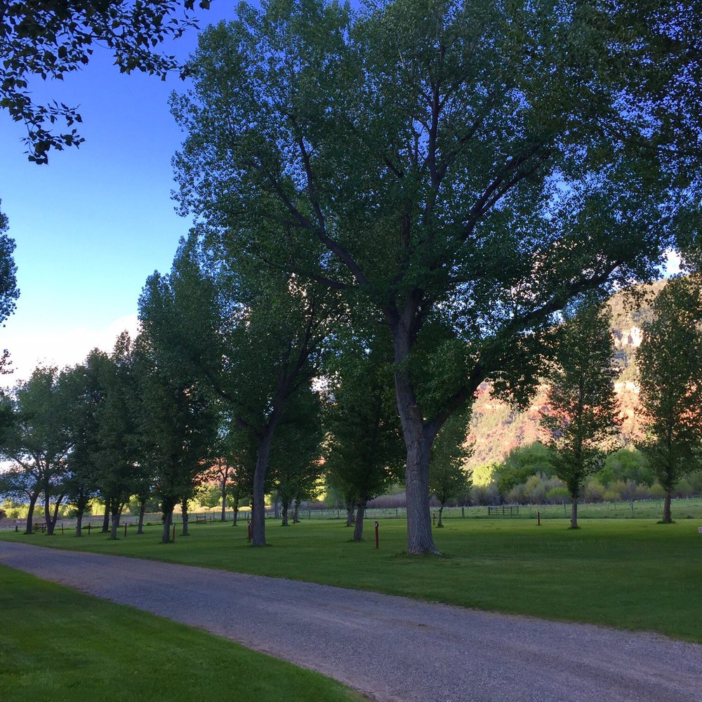 United Campgrounds - RV Parks Near Me - Durango, Colorado United Campgrounds - RV Parks Near Me - Durango, Colorado