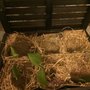 Photo of Manhattan Fruitier