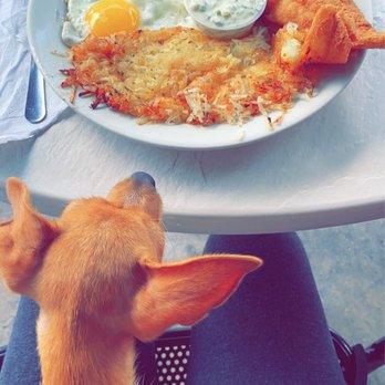The Big Rig 2 - " Fisherman's breakfast " - Diners Near Me - Deland, Florida