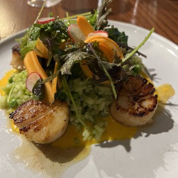 Waterman Grille - Scallop & pea risotto - New American Near Me - Providence, Rhode Island Waterman Grille - Scallop & pea risotto - New American Near Me - Providence, Rhode Island