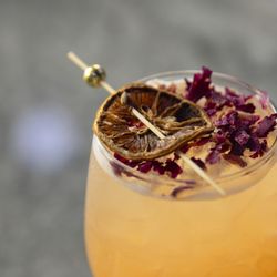 Medusa Lounge