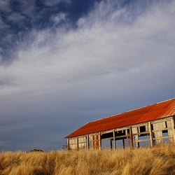 Frenchman's Bar Regional Park - An abandoned barn set back from the beach