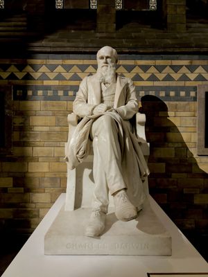 Natural History Museum by null