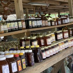 Casie’s Corner - Honey!