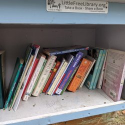 Little Free Library - Little Free Library, Paducah