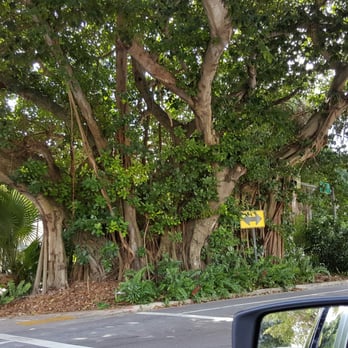 Coconut Grove - Banyan! - Landmarks & Historical Buildings Near Me