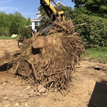 Wilson Construction - Excavating & Site Work: Stubborn tree stump removed from building site. - Snow Removal Near Me - Pelham, Massachusetts Wilson Construction - Excavating & Site Work: Stubborn tree stump removed from building site. - Snow Removal Near Me - Pelham, Massachusetts