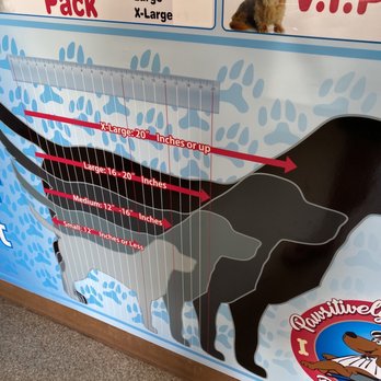 Pawsitively Groomed Pet Salon - Sizing chart - Pet Groomers Near Me - Burlingame, California Pawsitively Groomed Pet Salon - Sizing chart - Pet Groomers Near Me - Burlingame, California