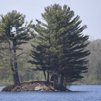 Straight Lake State Park - Island on the lake next to one of the trails. - Parks Near Me - Luck, Wisconsin