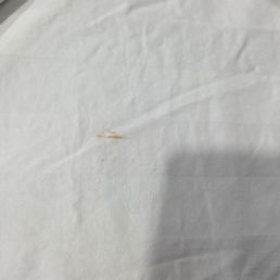 Clearly fresh stains on the supposed clean sheets. Clearly fresh stains on the supposed clean sheets.