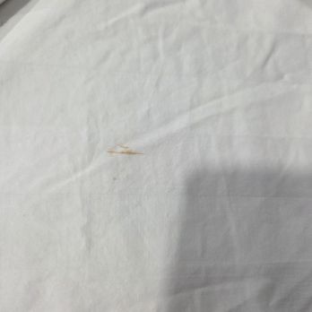 Seaside Boutique Hotel - Clearly fresh stains on the supposed clean sheets. - Resorts Near Me - Port Aransas, Texas Seaside Boutique Hotel - Clearly fresh stains on the supposed clean sheets. - Resorts Near Me - Port Aransas, Texas