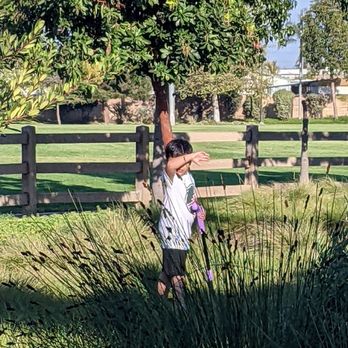 Stanton Central Park - Grassy area - Skate Parks Near Me - Stanton, California