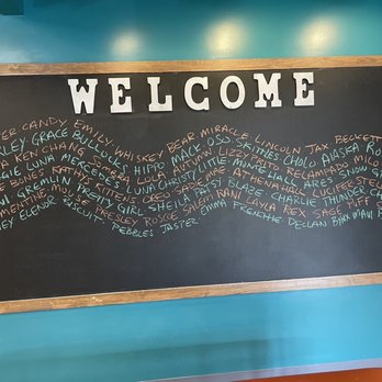 Stand For Animals Veterinary Clinic - The pets scheduled for appt are listed on the board daily. - Veterinarians Near Me - Charlotte, North Carolina