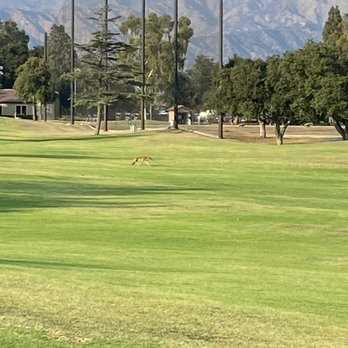 Santa Anita Golf Course - Golf Near Me - Arcadia, California Santa Anita Golf Course - Golf Near Me - Arcadia, California