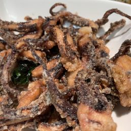 Squid Tentacles Squid Tentacles