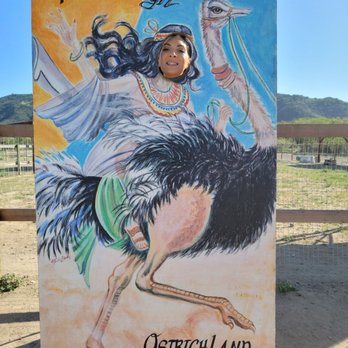 Ostrichland USA - Sunshine is in on the fun - Attraction Farms Near Me - Solvang, California