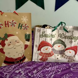 Dollar Tree - Great holiday gift bags.