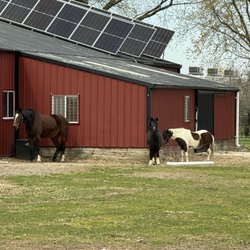 Shipshewana Campground South Park - Friendly neigh-bors