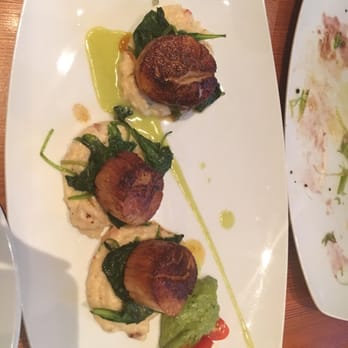 Bliss - Scallops were amazing! - New American Near Me - San Antonio, Texas