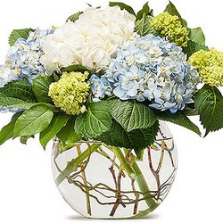 Floral Boutique