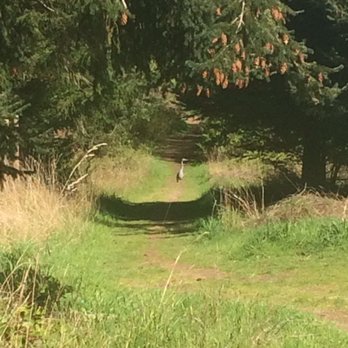 Greenbank Farm - Beer, Wine & Spirits Near Me - Greenbank, Washington