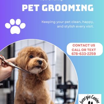 Georgia Canine - Pet Training Near Me - Grantville, Georgia Georgia Canine - Pet Training Near Me - Grantville, Georgia