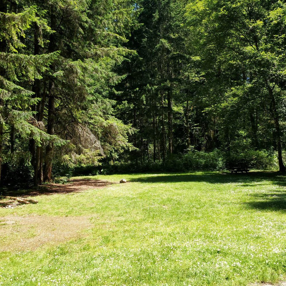 McCormick Forest Park - Open meadow - Parks Near Me - Gig Harbor, Washington McCormick Forest Park - Open meadow - Parks Near Me - Gig Harbor, Washington