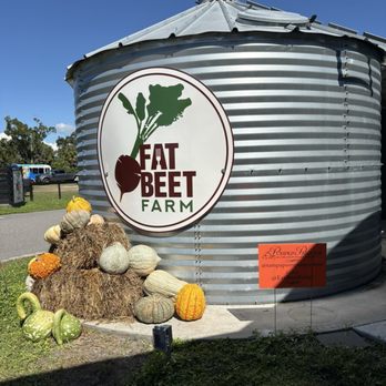Fat Beet Farm - Outside - Farms Near Me - Tampa, Florida Fat Beet Farm - Outside - Farms Near Me - Tampa, Florida