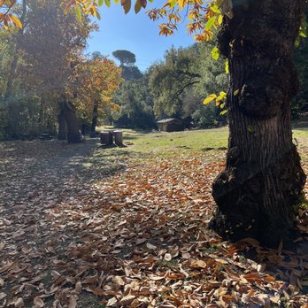 Tony Look Trail - Picnic area - Hiking Near Me - Cupertino, California